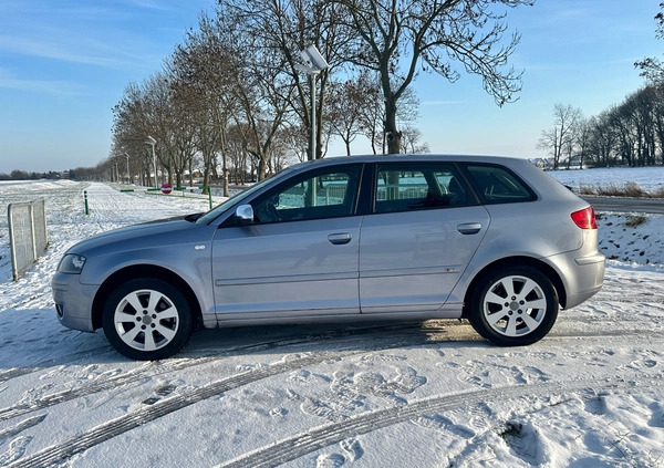 Audi A3 cena 13900 przebieg: 249000, rok produkcji 2005 z Wrocław małe 497